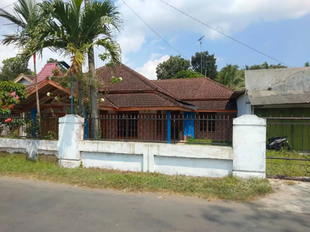 Rumah SHM Tanah 648m² View Sawah Gunung Blitar – 4KT, Garasi, Asri