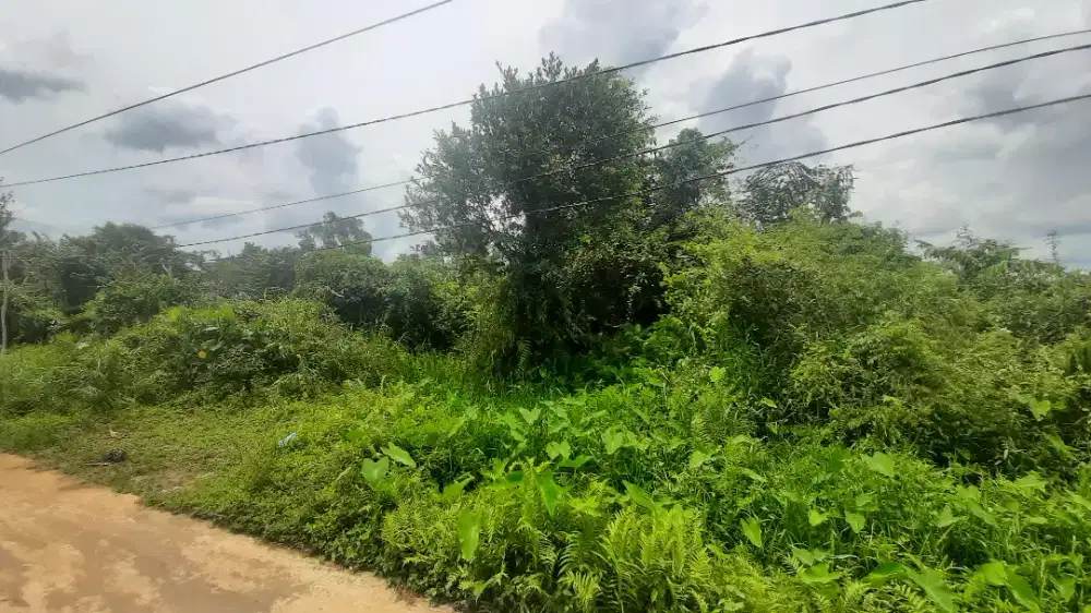 Jual tanah murah di rompok 2 kapling besar