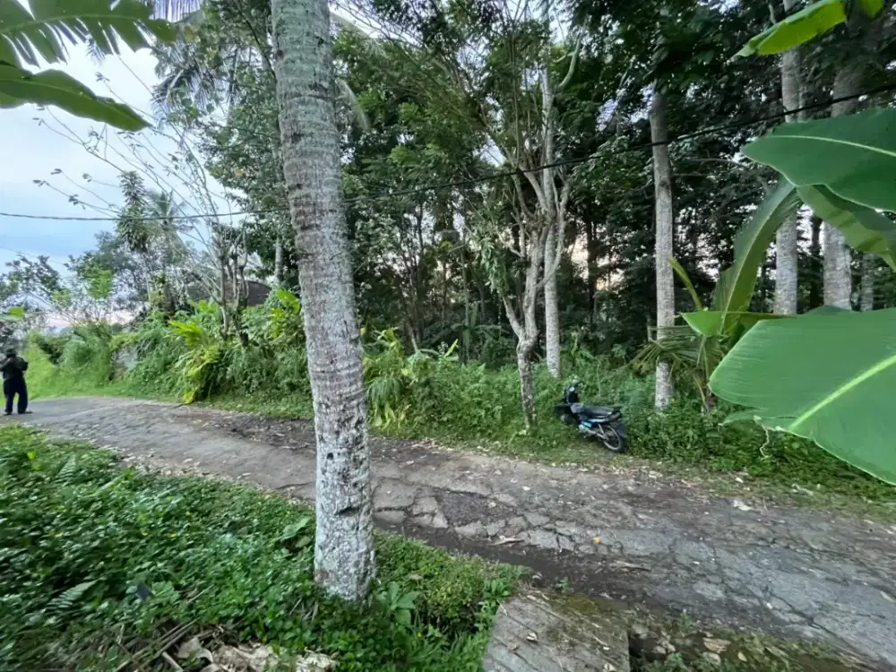 Dijual Tanah Kebun View Sawah Lembah Dan Gunung Penebel Tabanan Bali