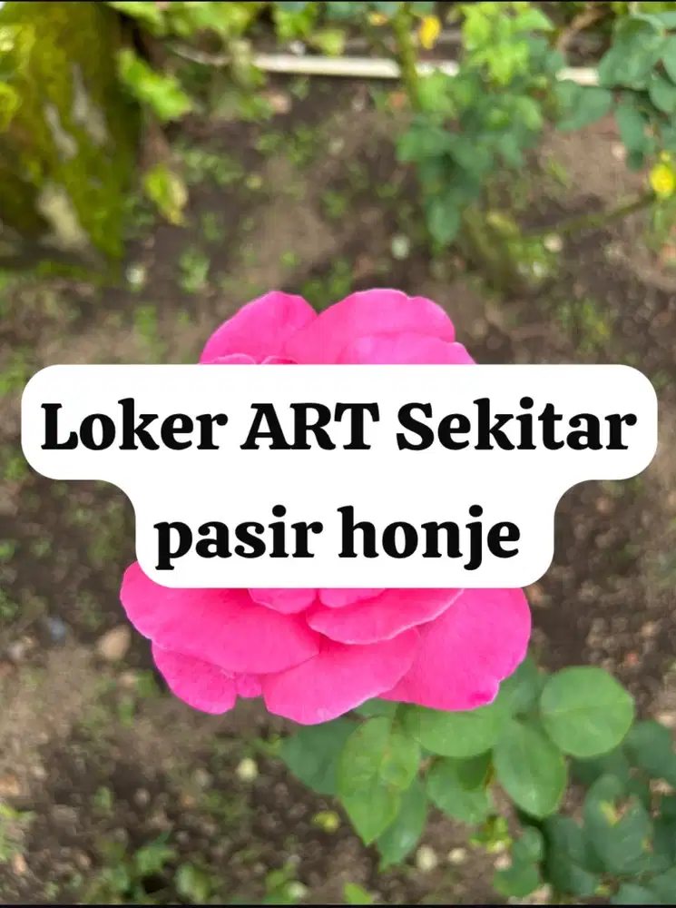 Lowongan kerja Asisten Rumah tangga Pasir Honje