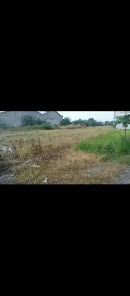 Tanah 6x8 48m persegi