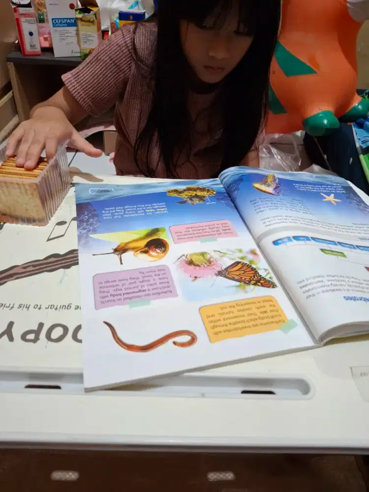 Guru Les untuk Anak Sekolah Dasar