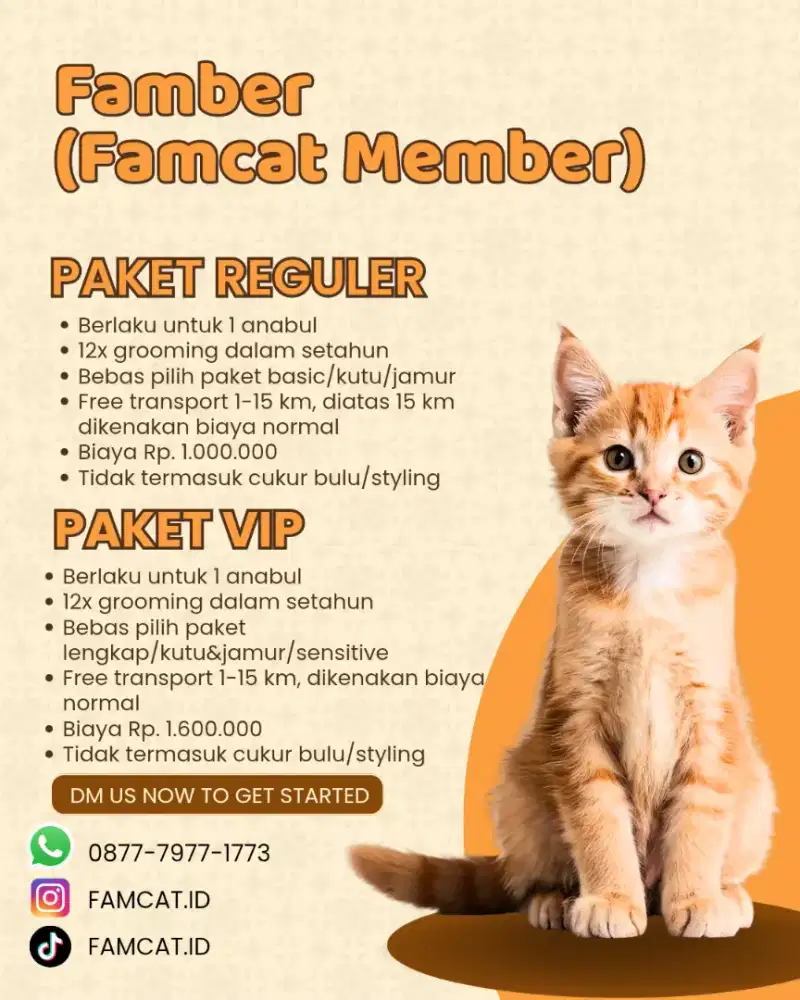 Paket Grooming Kucing 1 Tahun