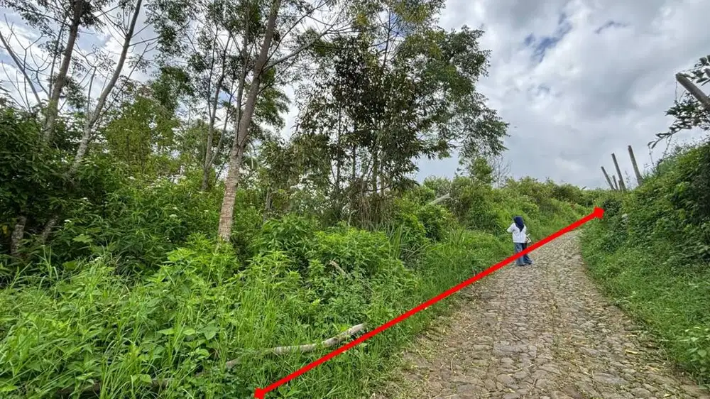 DIJUAL: Tanah Kebun Produktif di Kawasan Sejuk Batu, Malang