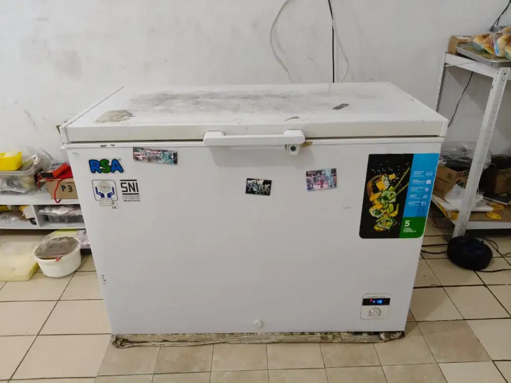 freezer RSA 310L