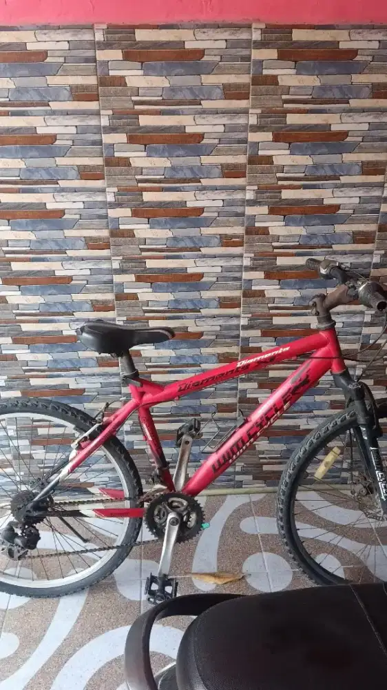 Sepeda gunung Wimcycle uk 26