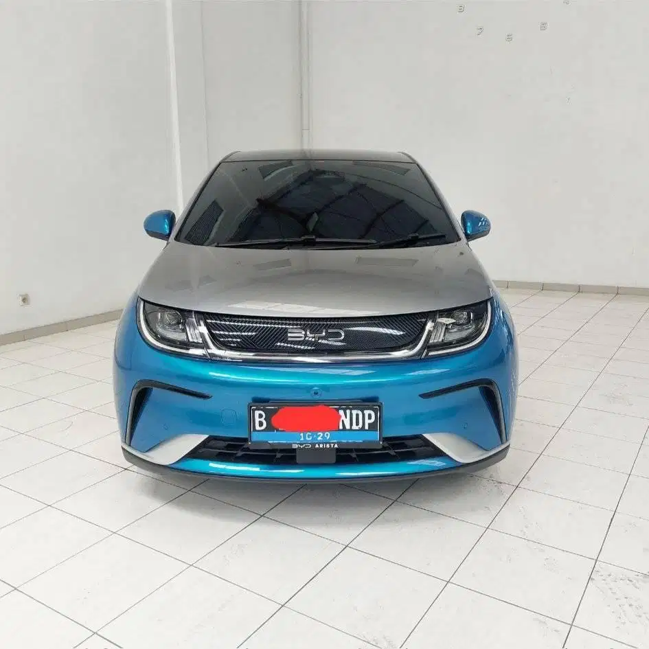 BYD Dolphin Premium 2024