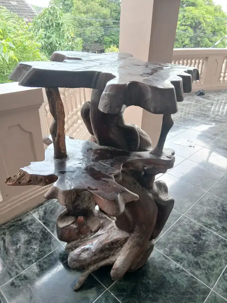 Rak Jati Akar BonggoL