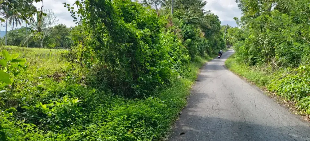 Dijual Tanah Kebun Los Sungai Kontur Datar 2 Menit Menuju Jalan Utama