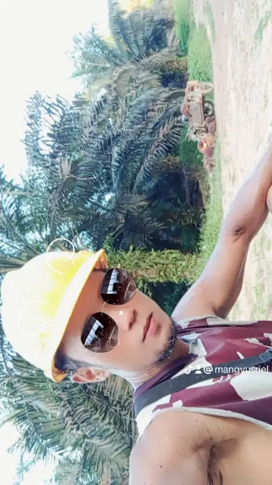 Dibutuhkan karyawqn panen