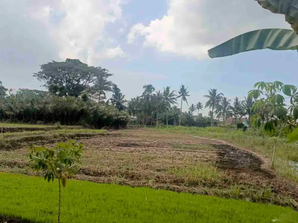 TANAH SLEMAN NGAGLIK