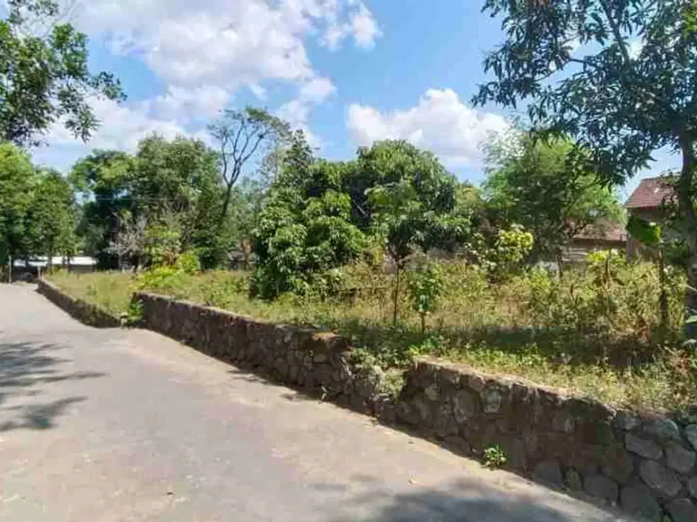 DIJUAL TANAH PEKARANGAN AREA BORANGAN MANISRENGGO KLATEN JATENG