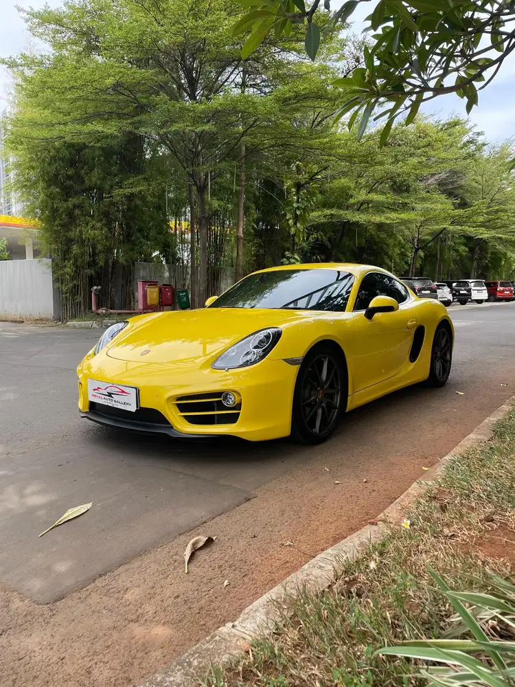 Porsche cayman 2.7 PDK
Yellow 
2014