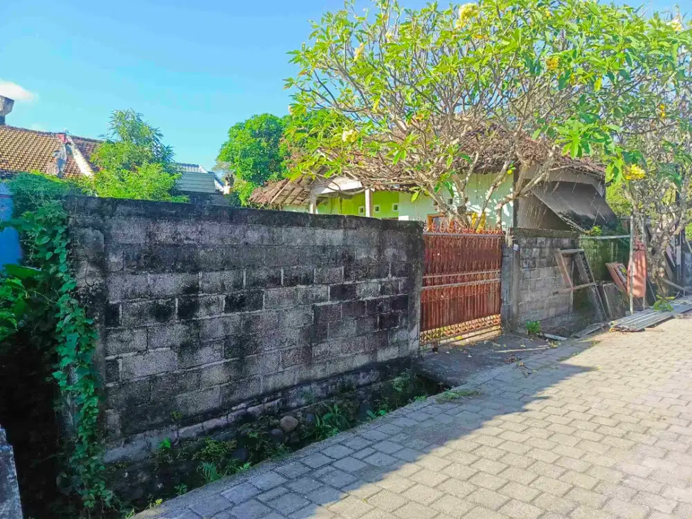 jl pendidikan sidekarya!! denpasar Selatan tanah 3 are di jual