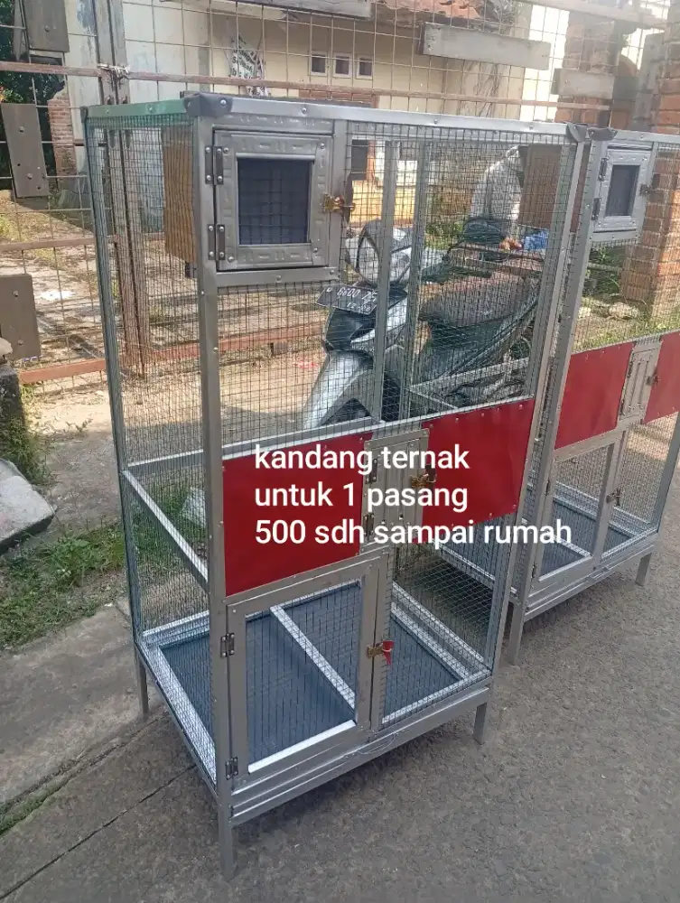 kandang ternak muray dll