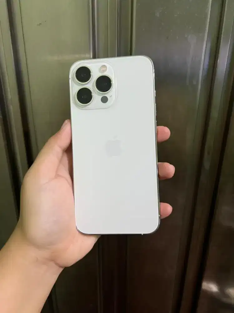 iphone 13 pro 128gb ex inter silver