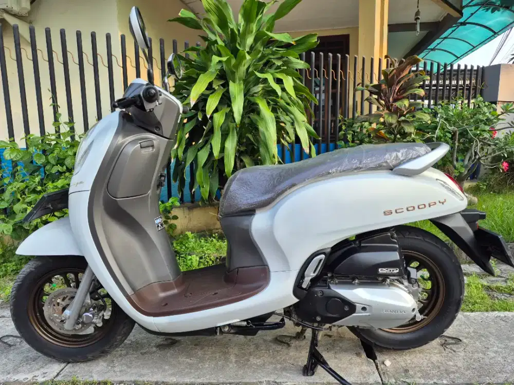 Honda Scoopy Prestige ‼️ , Th 2024