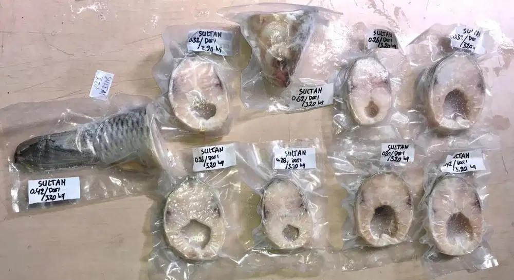 Ikan beku Sultan / Jelawat , empurau / semah asli kalimantan barat