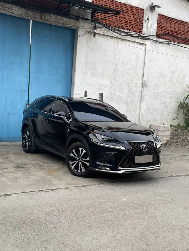 lexus nx300 (2018)
