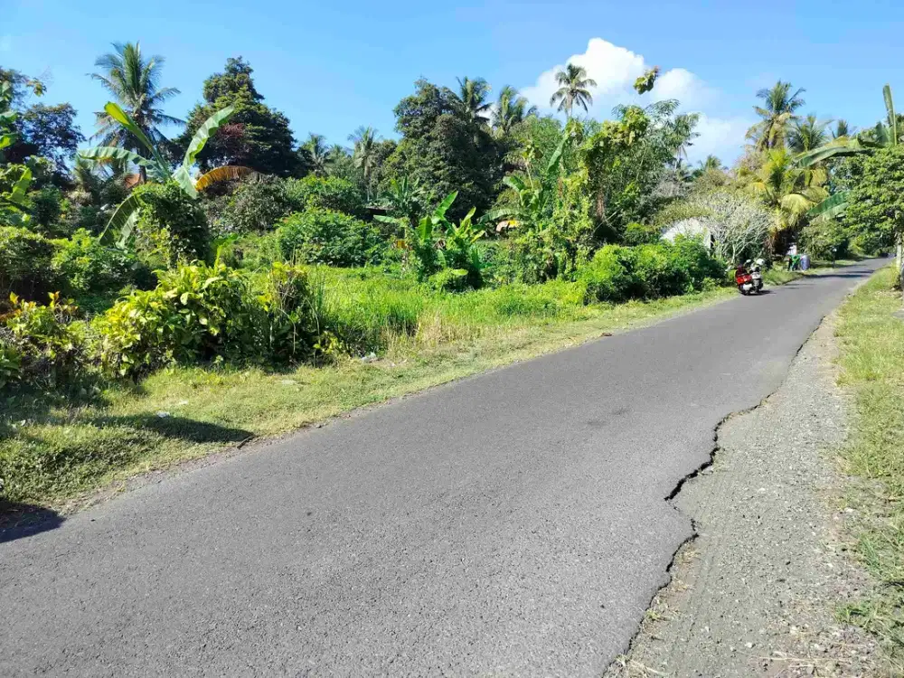 jual tanah murah tabanan.lok selemadeg timur 1875m2(18,75 are).hrga70/ are