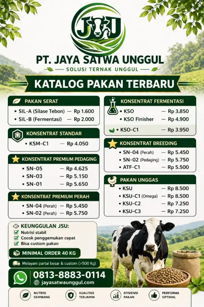 Pakan Konsentrat Sapi Pedaging