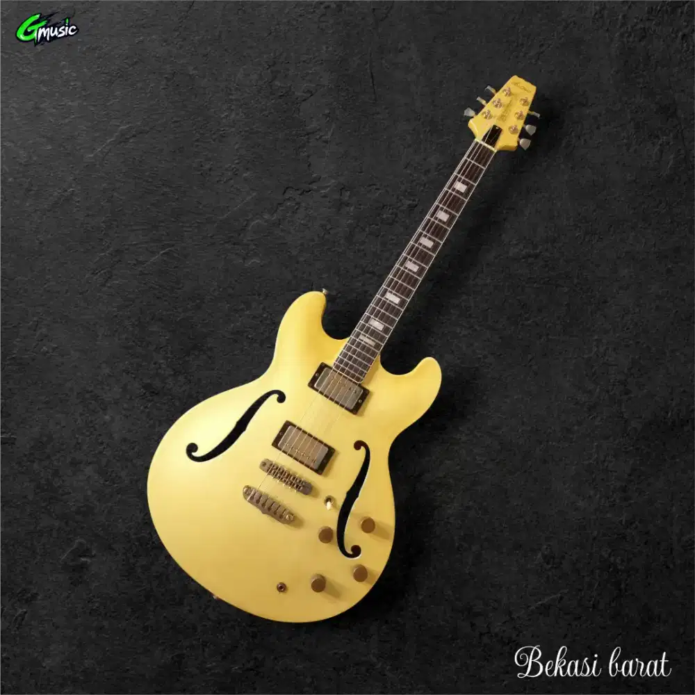 Gitar Aria pro ii Japan