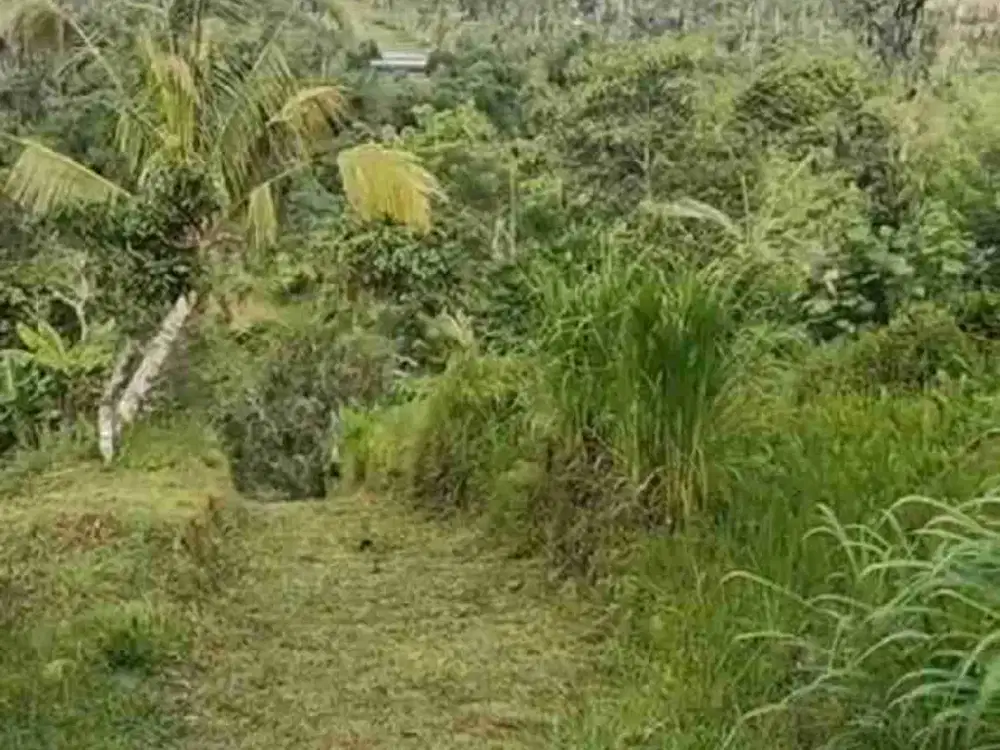 Kavling view mountain kintamani dan sungai