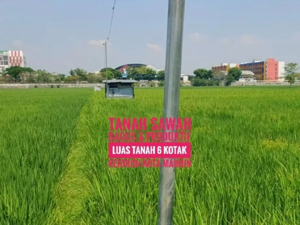 JUAL, Tanah Sawah 6 Kotak Harga murahh,  Kejuron Kota MADIUN