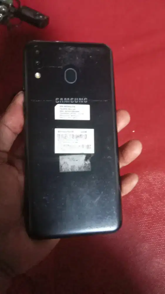 Mancel sululer abadi