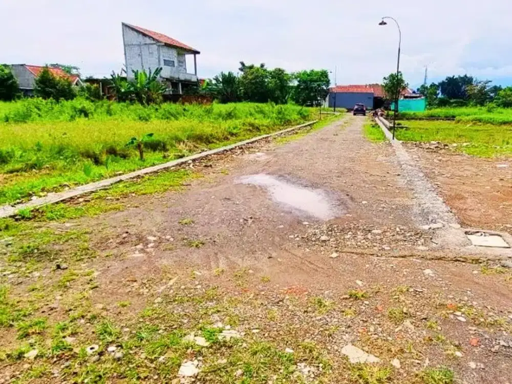 Kavling Murah Dekat Kampus IPB Dramaga, Terima SHM per Unit
