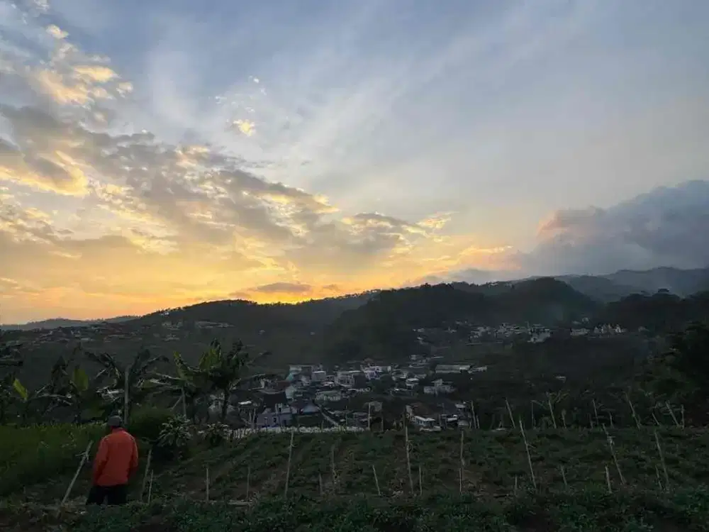 KEBUN DIATAS AWAN PUNTEN BATU MURAH