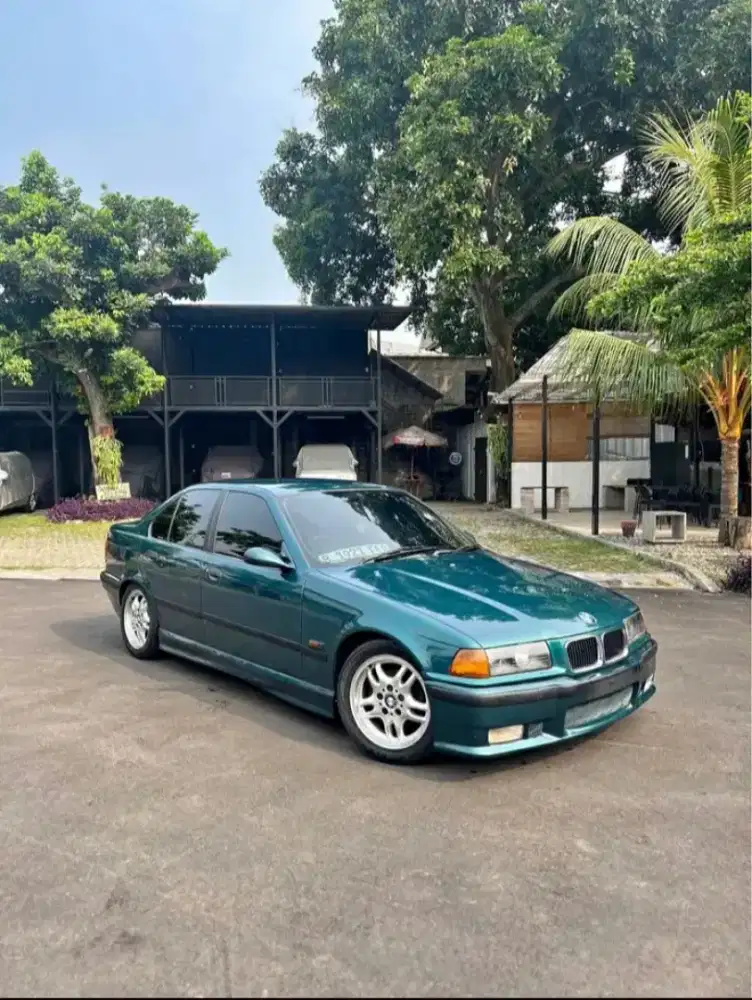 E36 320i Vanos (Green Boston)