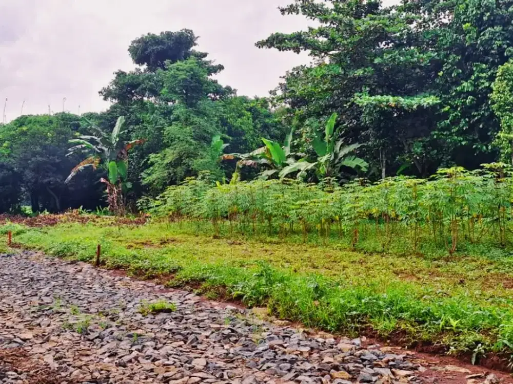 Kavling Murah 1 Jt-an, Dekat Pintu Tol Burangkeng