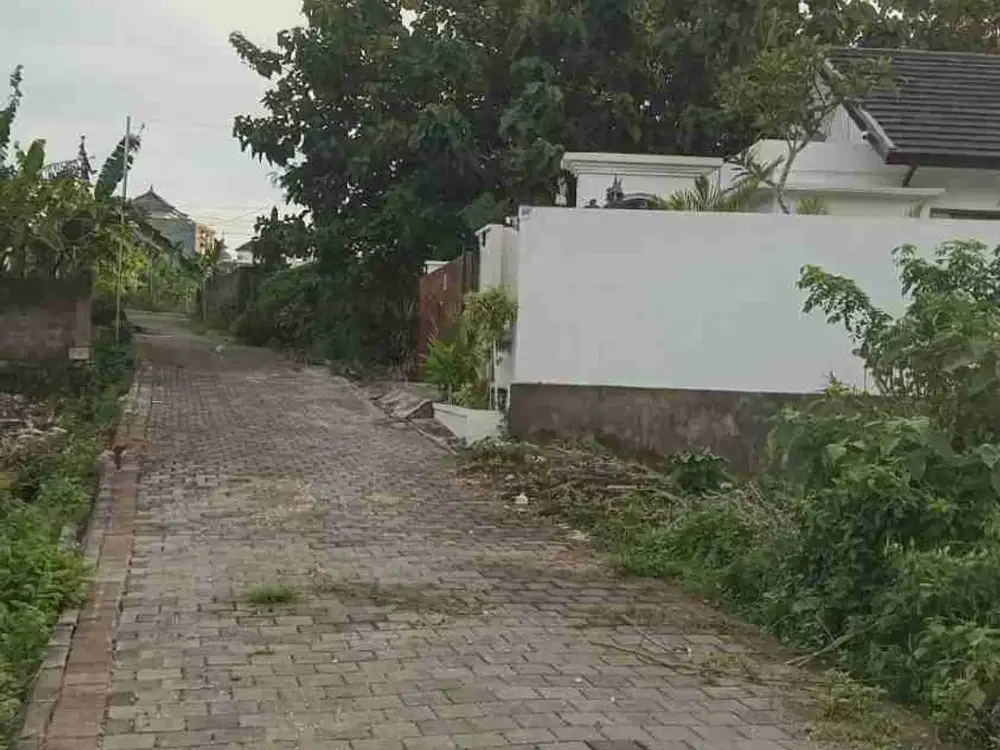 dijual tanah 15 are IDR 425 juta/are view Gwk ungasan Badung Bali