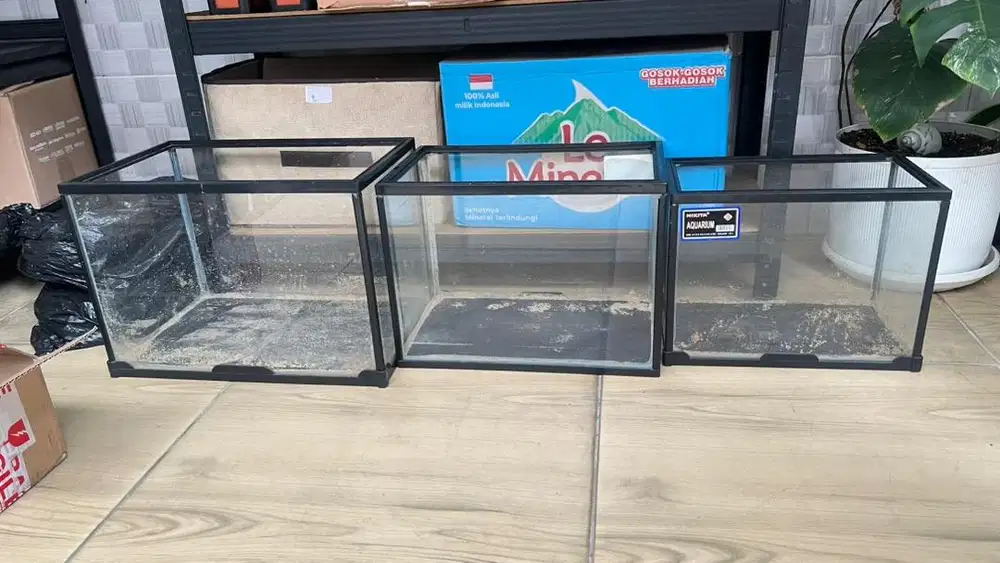 Aquarium Reptil Nikita