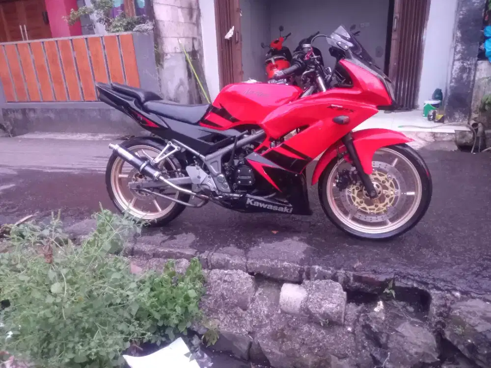 Ninja rr new 2012 orisinil