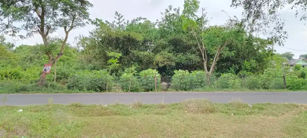 DI JUAL TANAH STRATEGIS DI PINGGIR JALAN RAYA TAMBELANG KAB.BEKASI