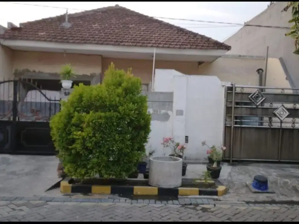 DIJUAL TANAH SIDOTOPO WETAN