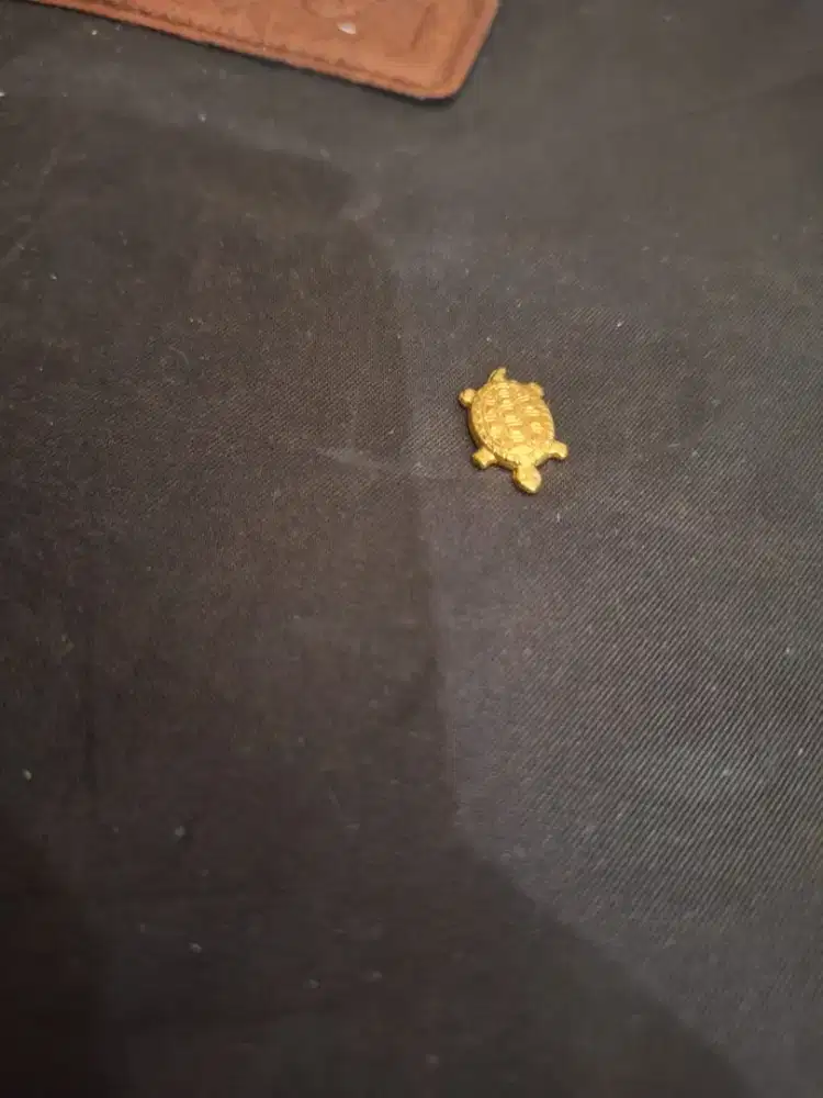 Kura-kura asakura uk 1cm 
pebawa keberuntungan 
Limited edition 
Baran