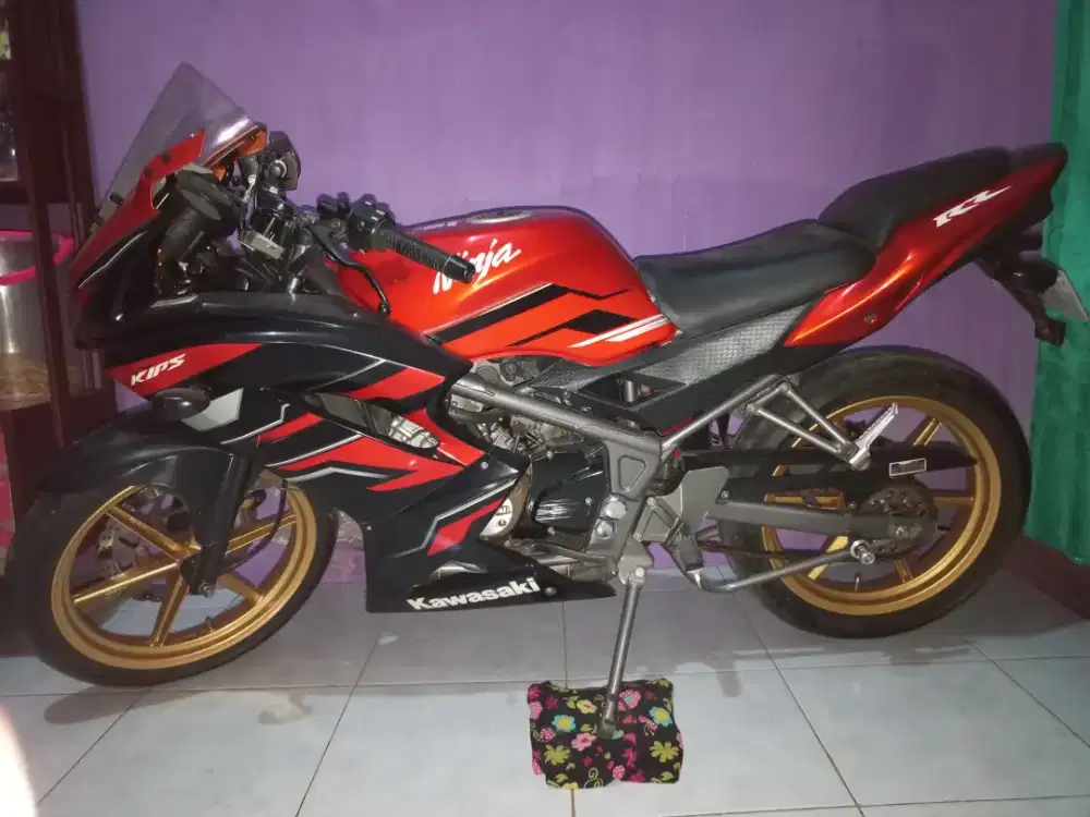 Kawasaki Ninja RR 2015