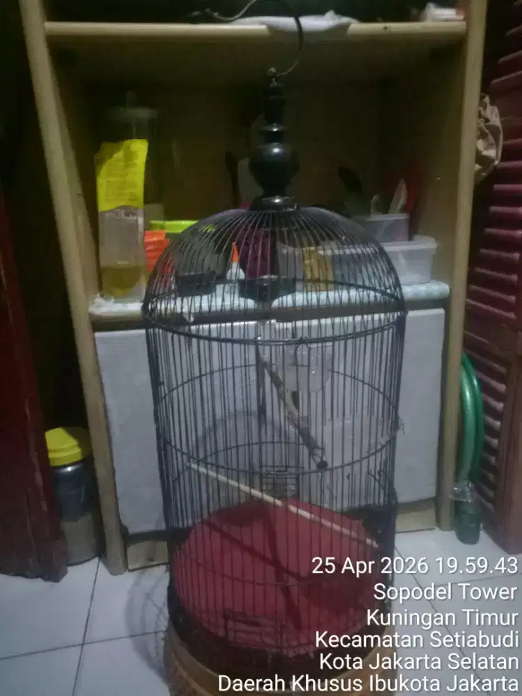 JUAL SANTAI SAMBIL NGOPI