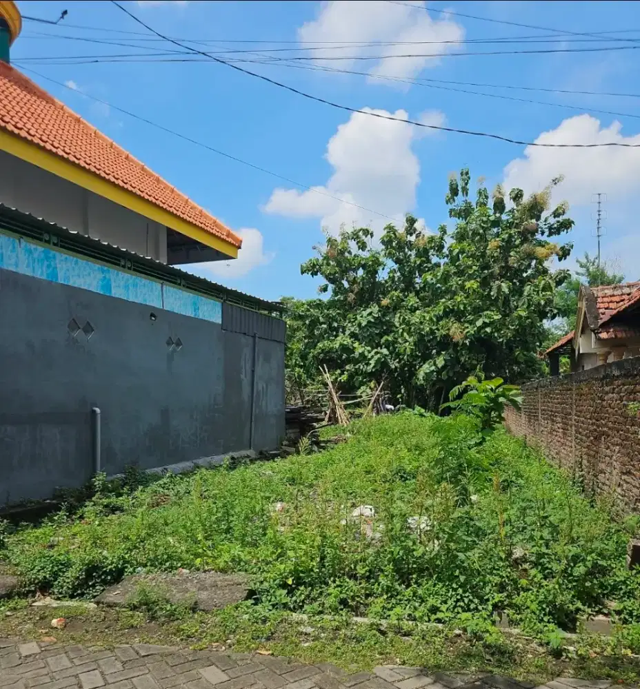 Dijual Tanah Strategis 1.315 m² Dekat Mushola