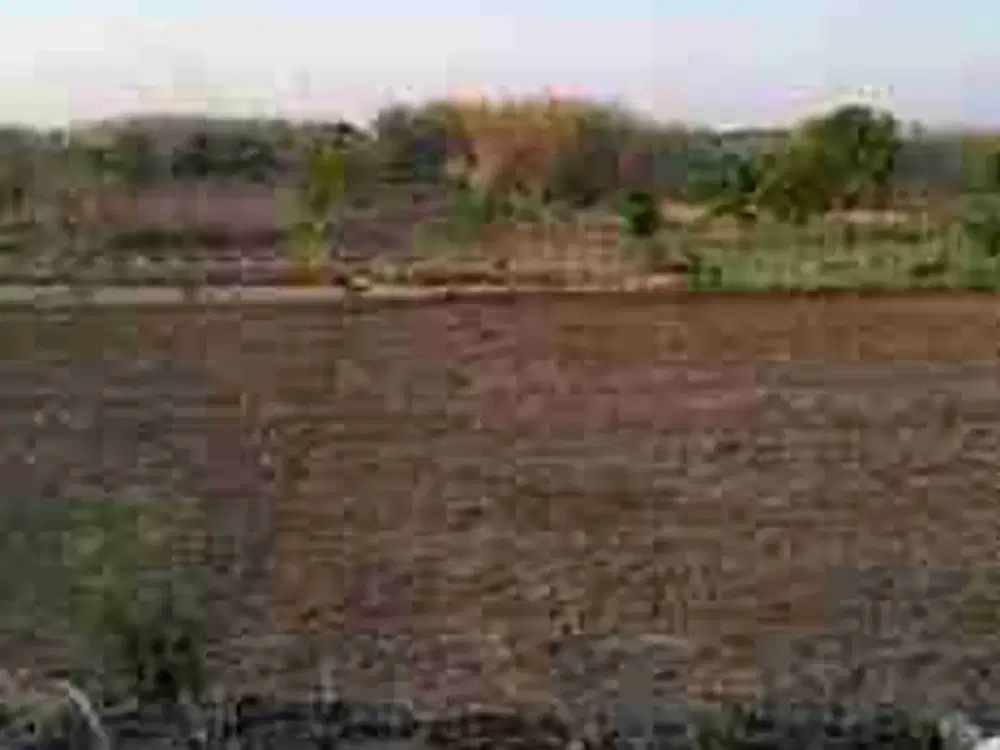 DI JUAL TANAH 

KEL. : KALIWATES 
KEC. : KEMBANGBAHU 
KAB  : LAMONGAN