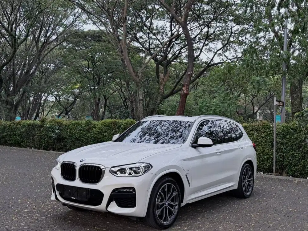 BMW X3 xDrive30e PHEV G01 MSport