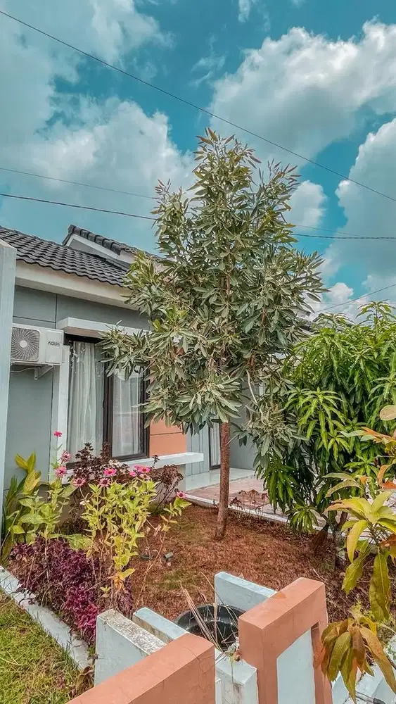 Disewakan rumah minimal 3 bulan