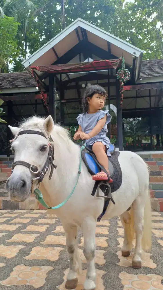 Pengasuh anak usia hampir 3 tahun