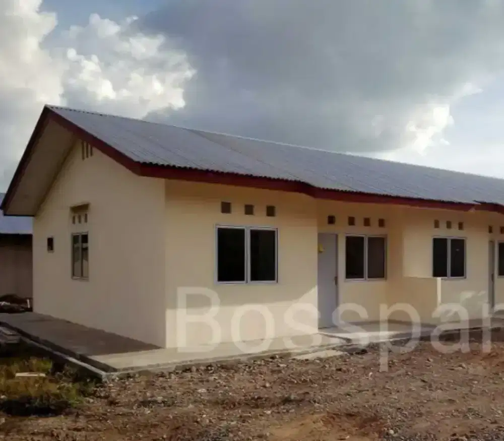 loker perkebunan kelapa sawit