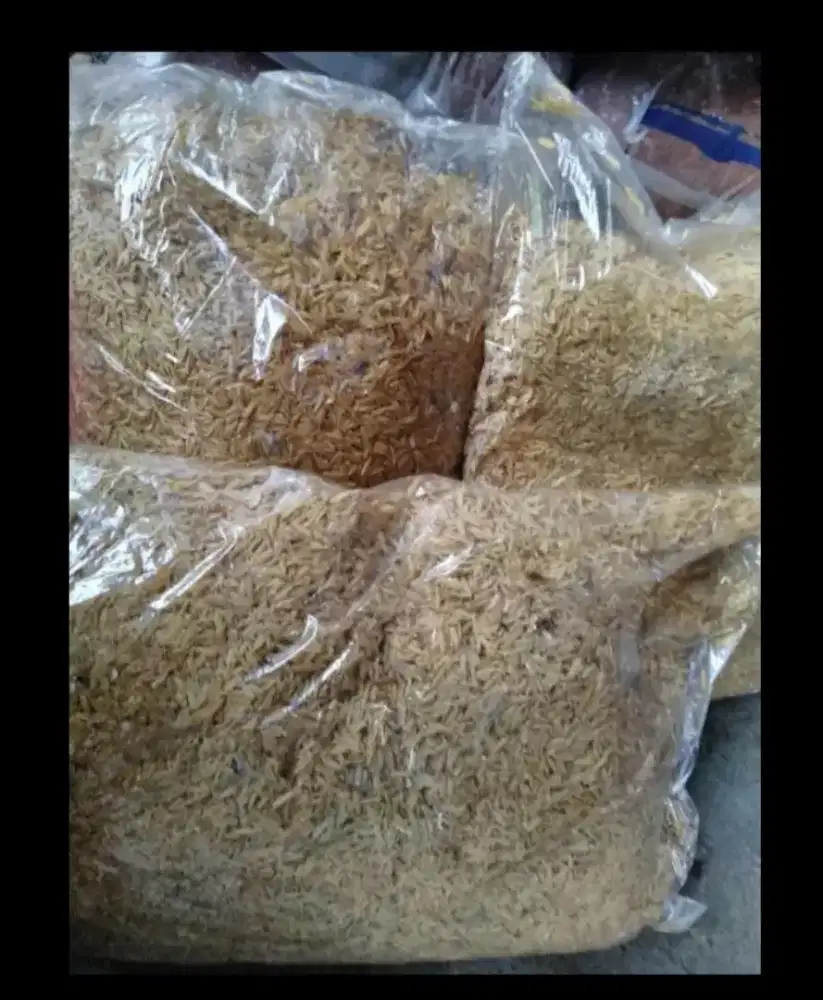 Media tanam Sekam padi