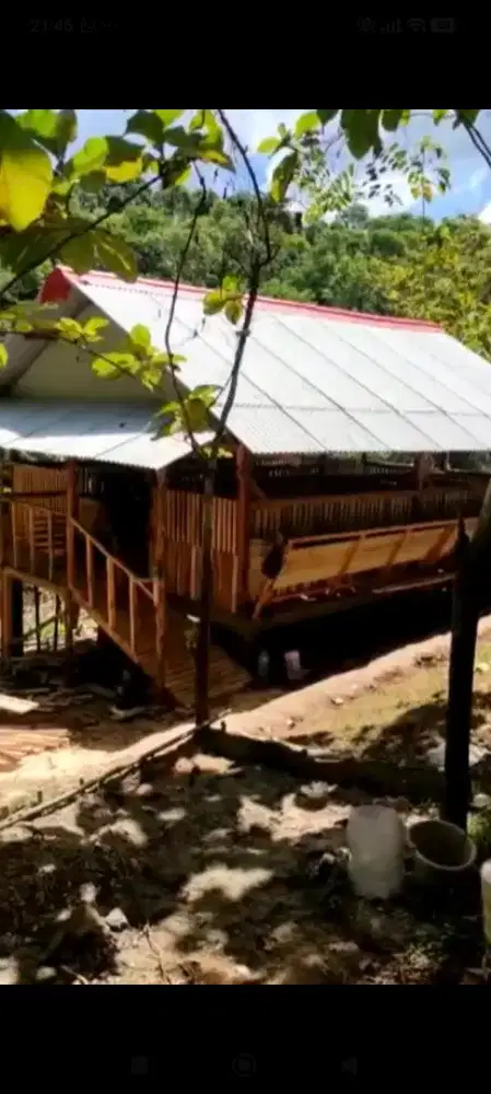 Di jual kandang kambing di pandeglang