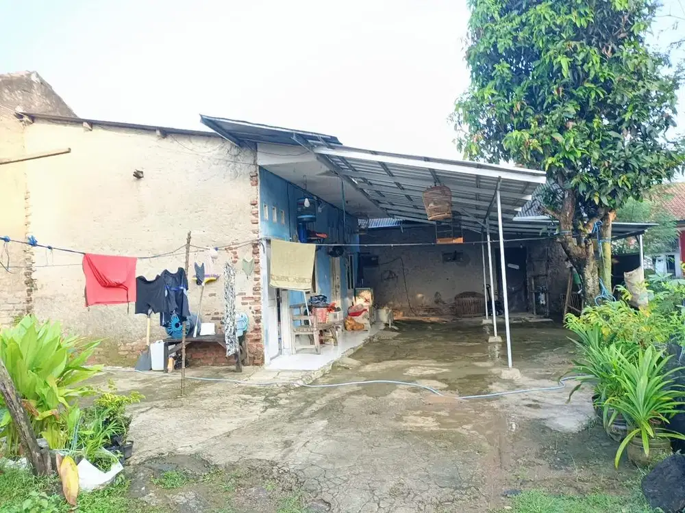 Dijual tanah rumahrumah Petak